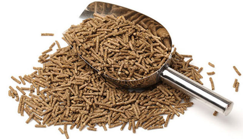 animal feed pellets