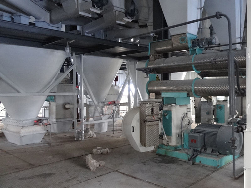 ring die feed pellet machine