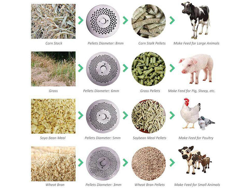 animal feed pellets