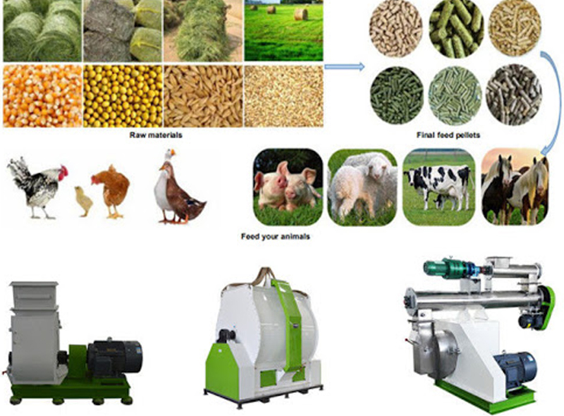 feed pellet machine equipment