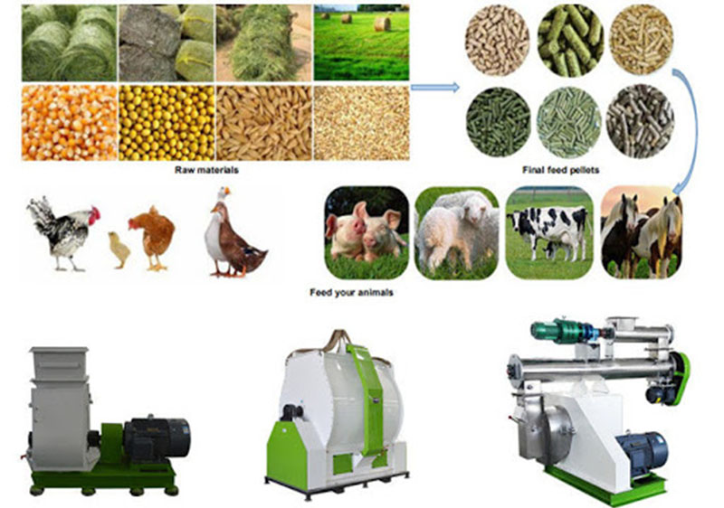 feed pellet making machine