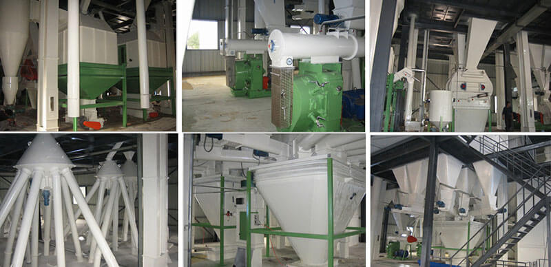 feed pellet mill plant