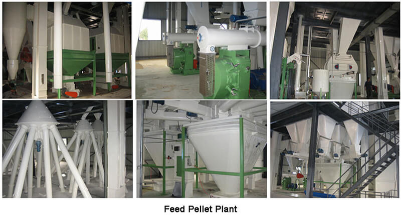 feed pellet plant