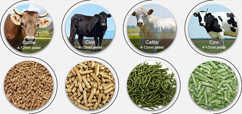 dairy feed pellets