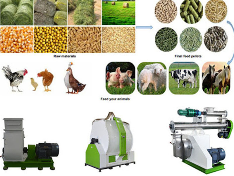 feed pellet machinery