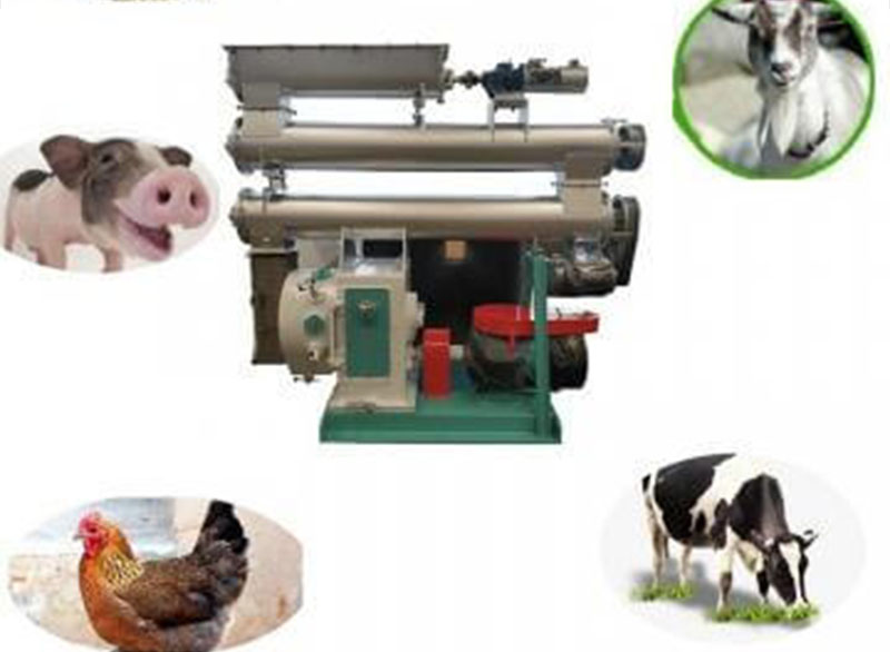 ring die feed pellet mill