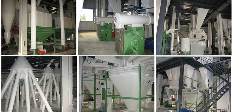 feed pellet plant