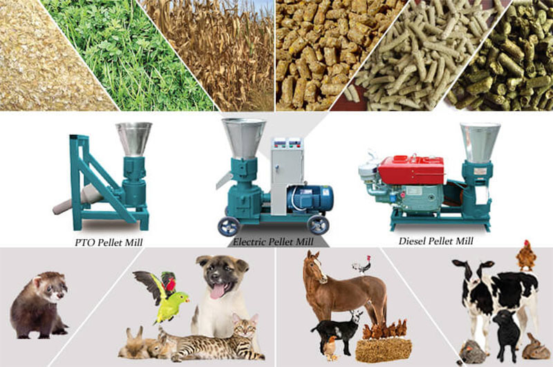 flat die feed pellet machine