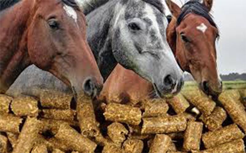 horse feed pellets