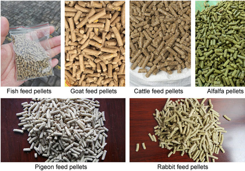 animal feed pellets