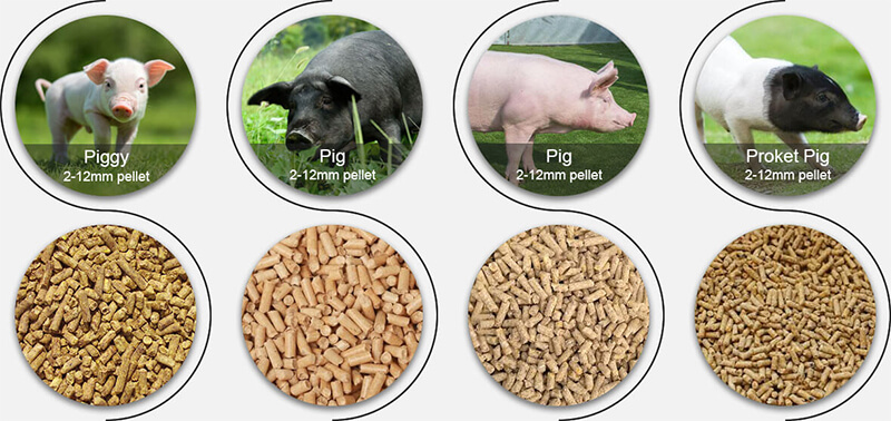 pig feed pellets for farming