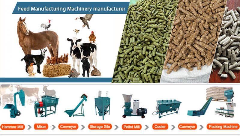 animal feed pellet production line