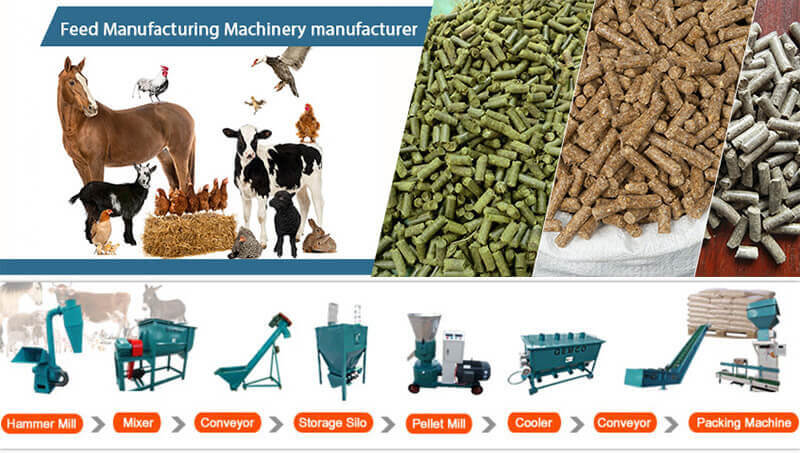 poultry feed pellet mill plant