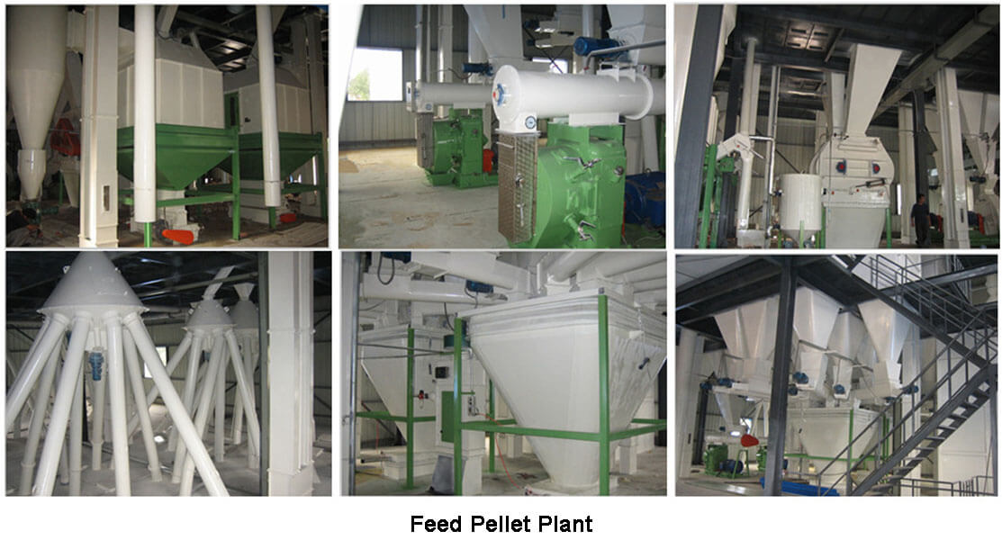 feed pellet plant
