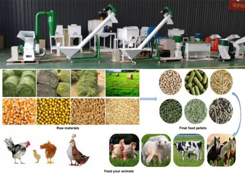 feed pellet plant