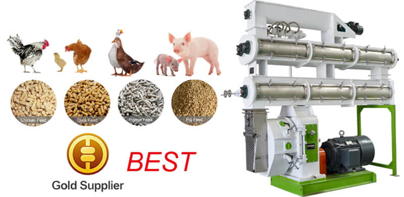 ring die feed pellet mill