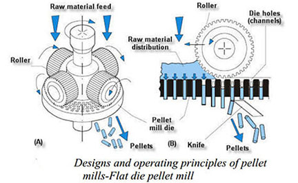 feed pellet process