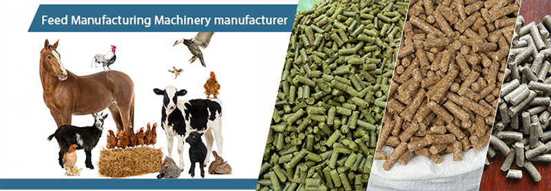 poultry and livestock feed pellets