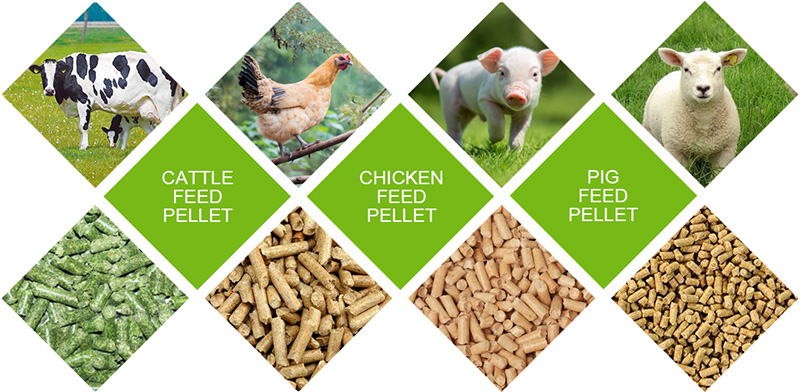 poultry & livestock feed pellets