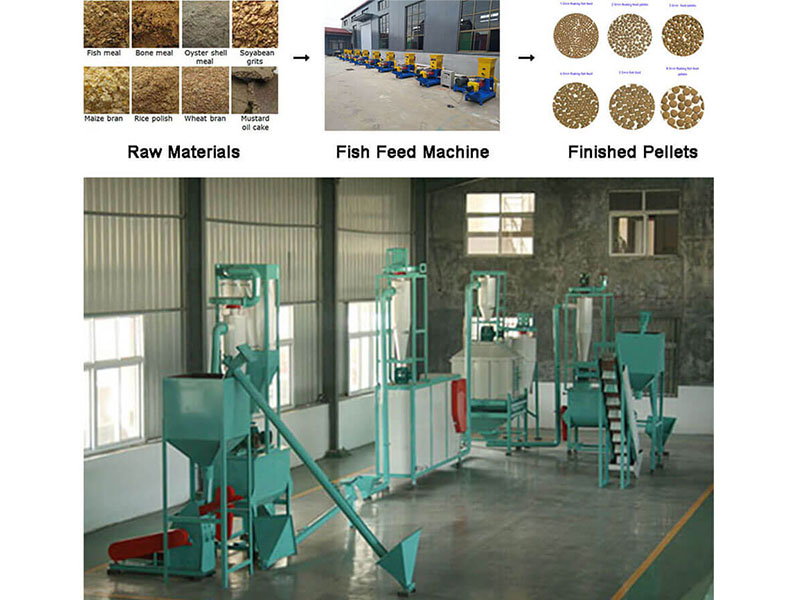 fish feed productionn line