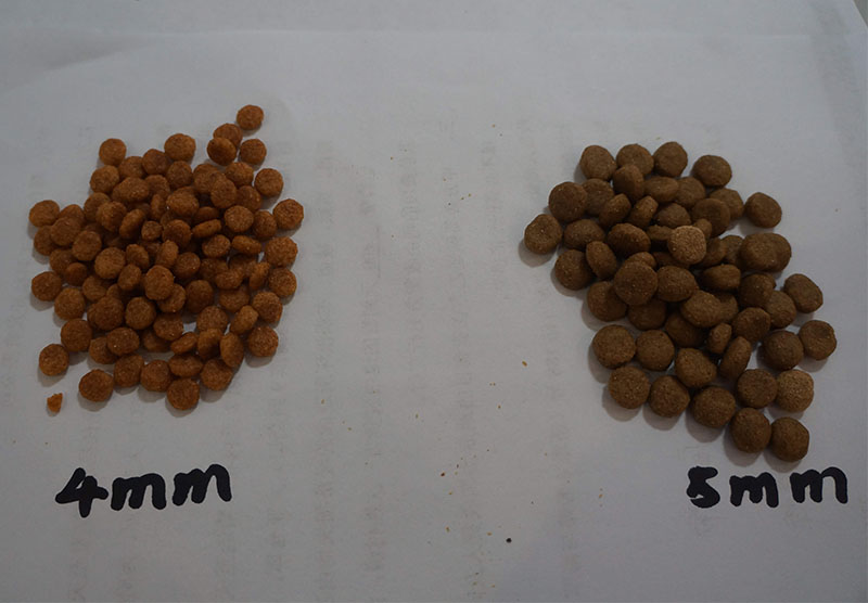 fish feed pellets