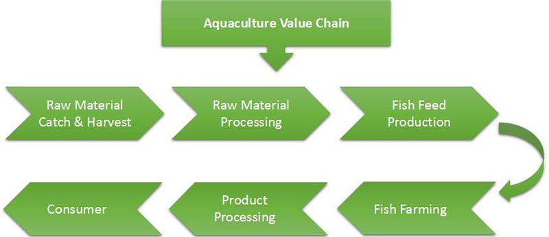 aquaculture chain value