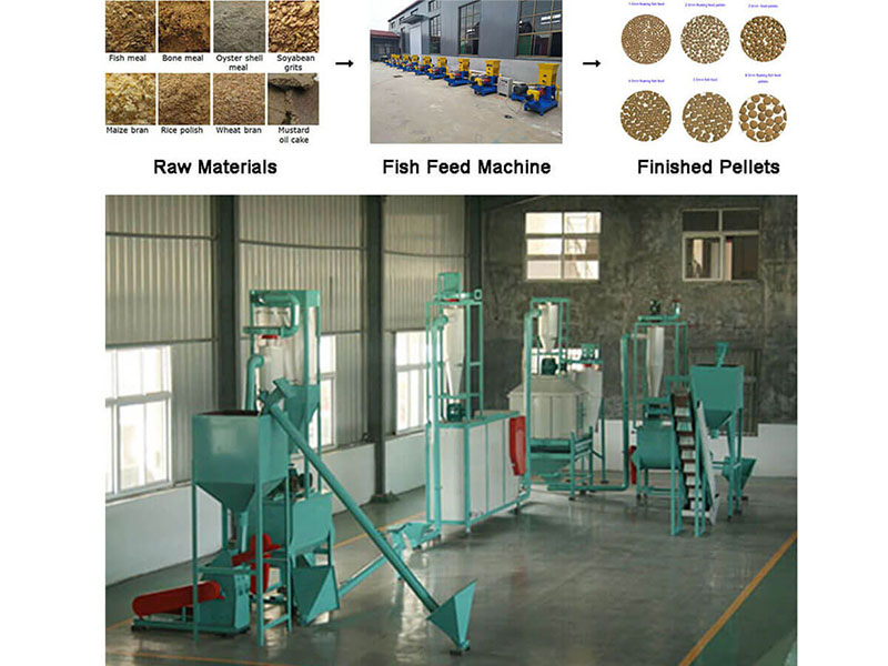 fish feed plant