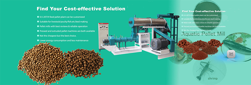 fish feed pellet machine