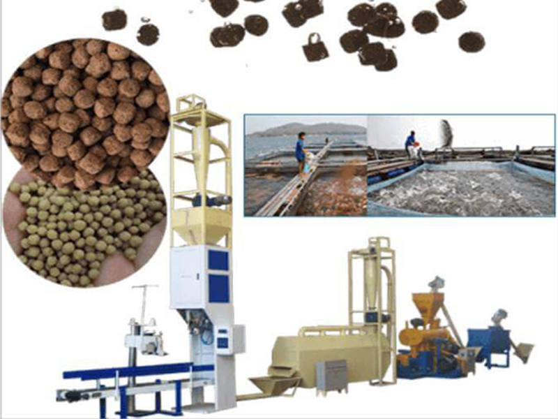 fish feed production line