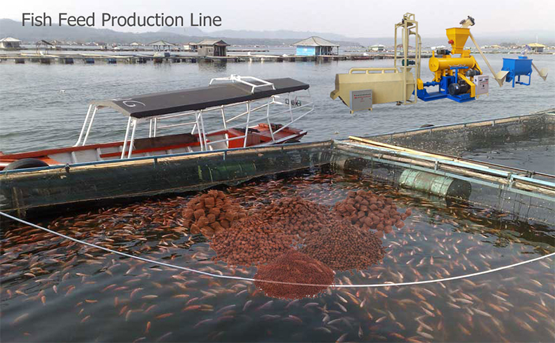 fish feed production line