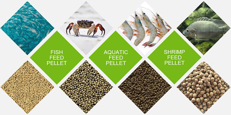 aquatic feed pellets