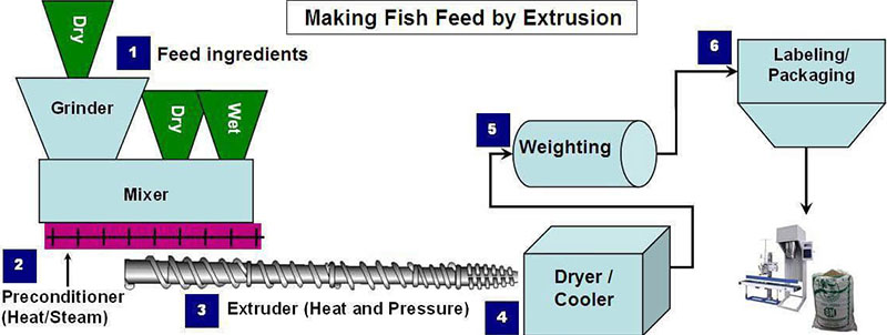 fish feed pellet production line