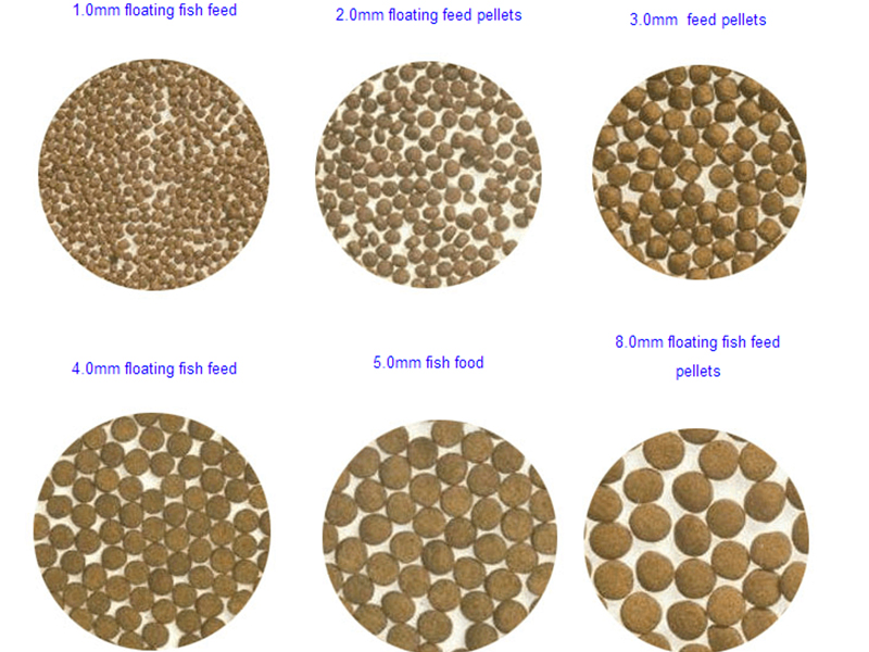 fish feed pellets