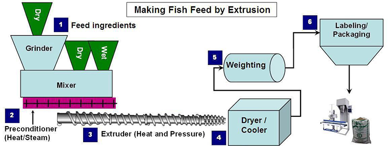 fish feed pellet processing