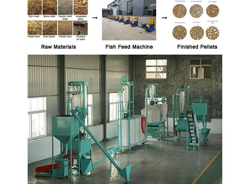 fish feed production line