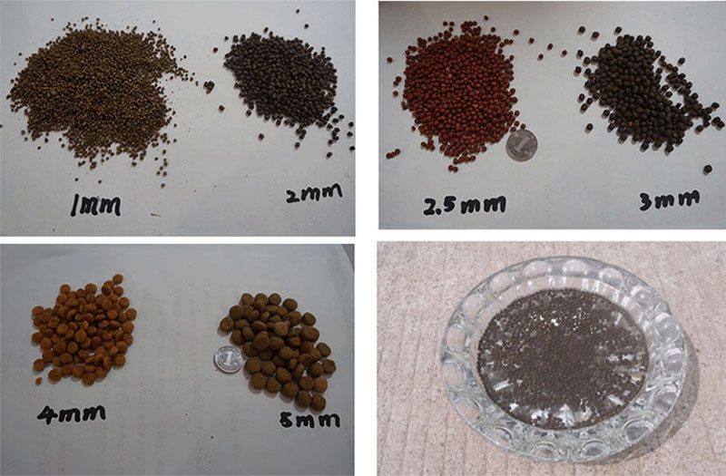 fish feed pellets