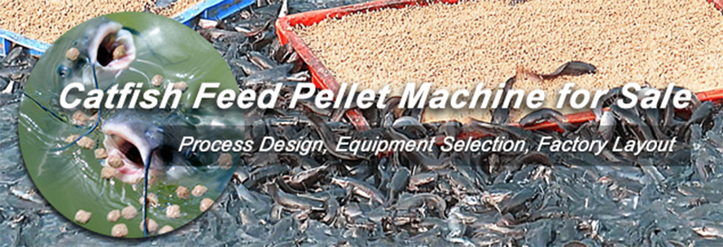 catfish feed pellets