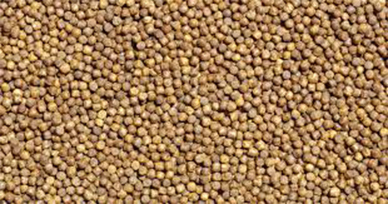 fish feed pellets