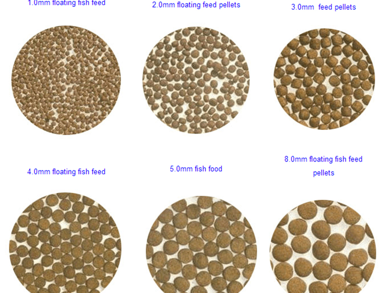 fish feed pellets