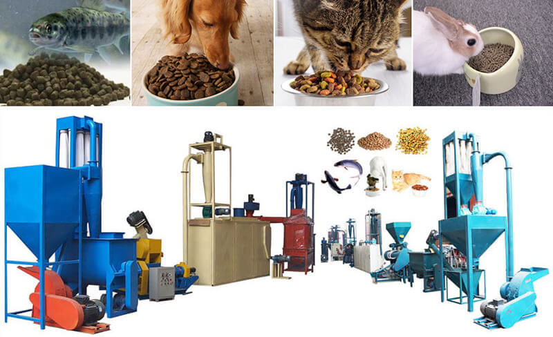 fish feed production equipment