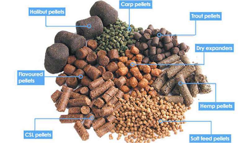 fish feed pellets