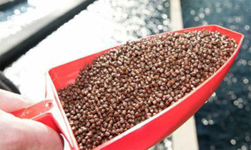 fish feed pellets