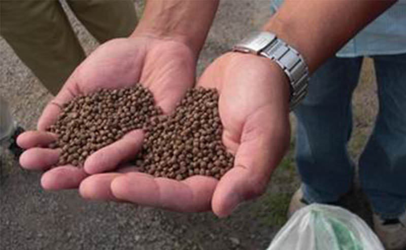 aquatic feed pellets