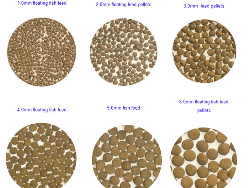 fish feed pellets