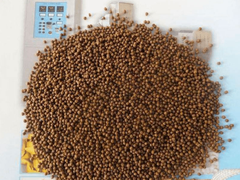 Fish Feed Pellets