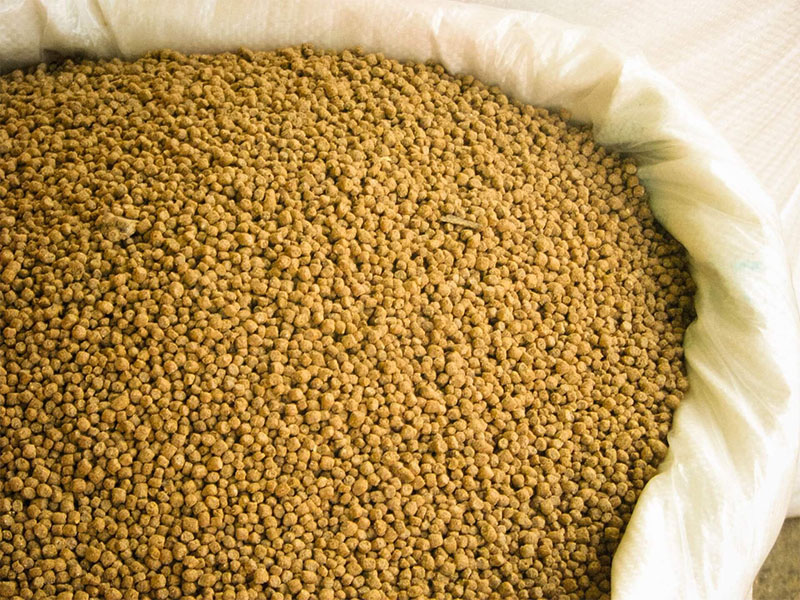 fish feed pellets