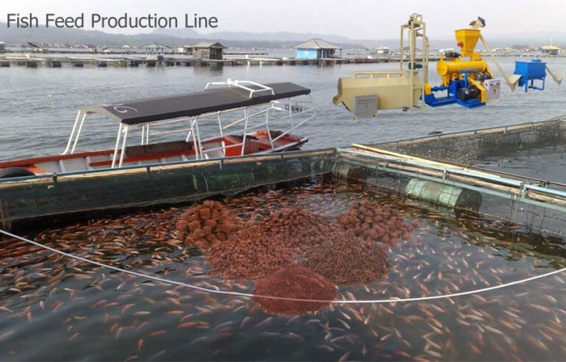 fish feed production line