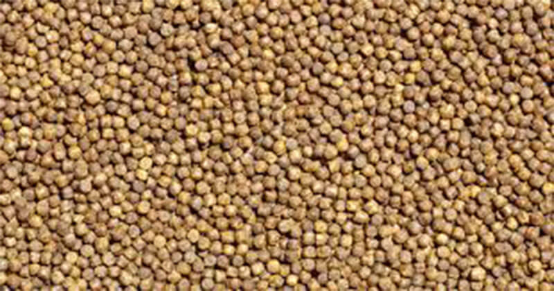 floating fish feed pellets