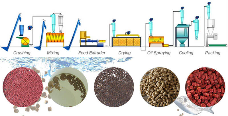 fish feed pellet production line