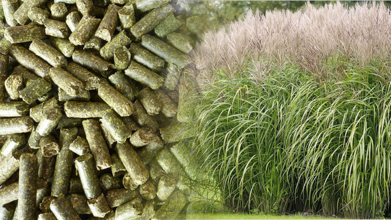 grass feed pellets for farming